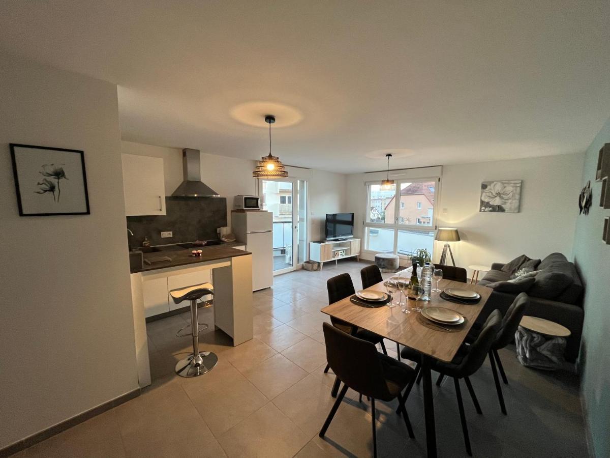 קולמר Appartement Magniolia Proche Centre Ville מראה חיצוני תמונה