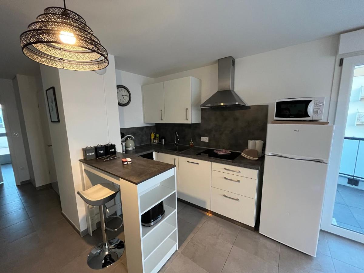 קולמר Appartement Magniolia Proche Centre Ville מראה חיצוני תמונה